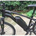 48V 350W Disc Brake E-Bike